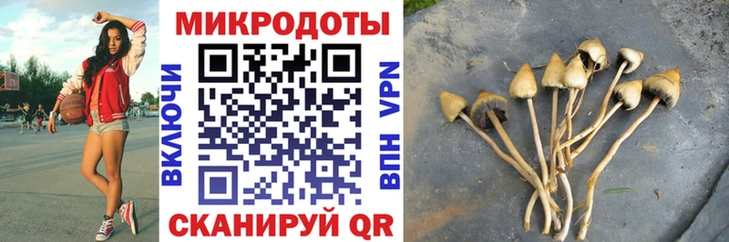хочу наркоту  Алапаевск  Псилоцибиновые грибы Psilocybe 