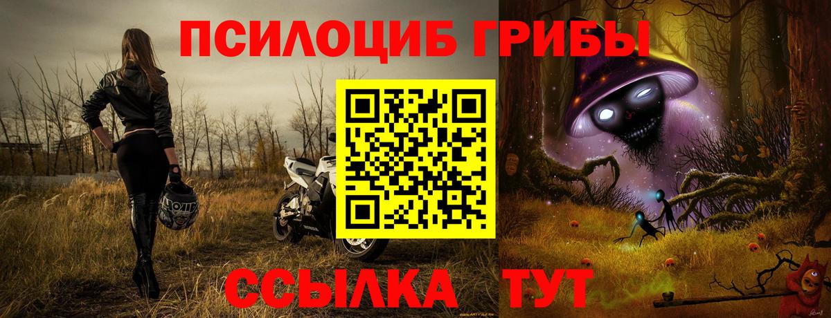 Галлюциногенные грибы мицелий  даркнет сайт  Алапаевск  Вход с VPN 