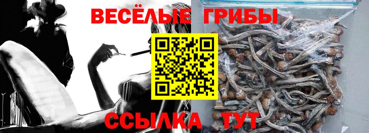 Галлюциногенные грибы мухоморы Алапаевск